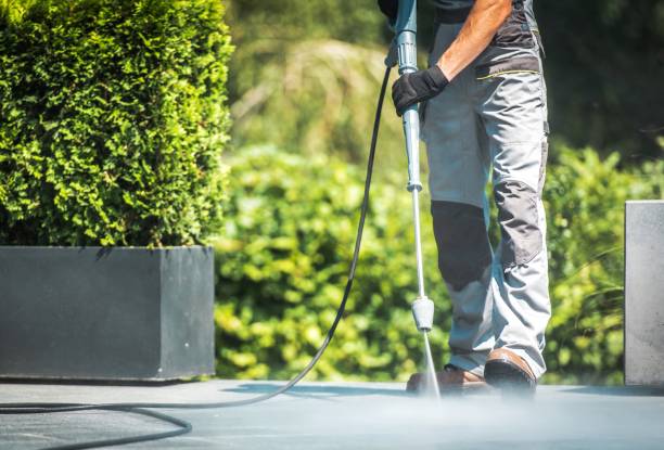 Best Gutter Cleaning  in Middleport, OH