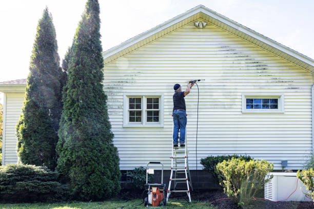 Best Roof Washing  in Middleport, OH